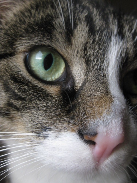 [IMG_5461%255B5%255D.jpg]
