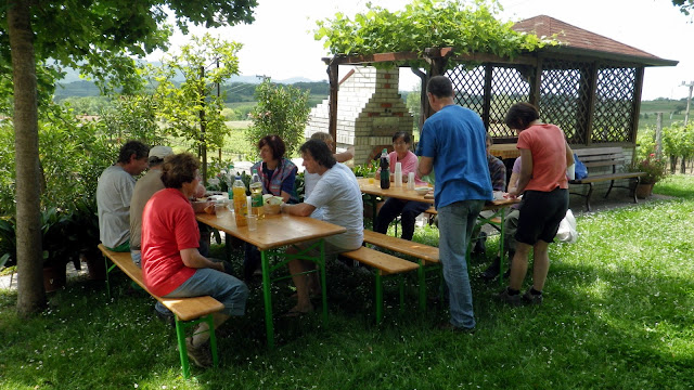 2014-05-Cistilna-akcija-Osek-26.JPG