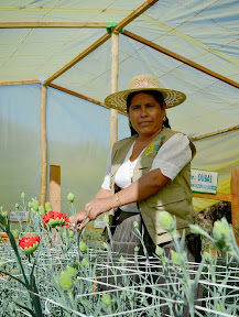 Invernadero Santa Cecilia en Mizque (Cochabamba)