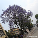 Katmandou_Nagarkot Katmandou_Nagarkot