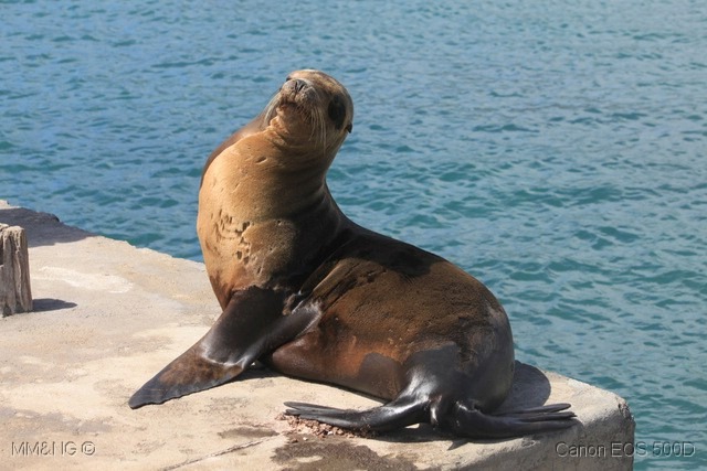 [IMG_1130%255B4%255D.jpg]