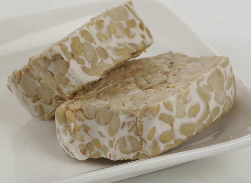 [Microbial%2520of%2520fermented%2520foods%2520-%2520tempe%255B3%255D.jpg]