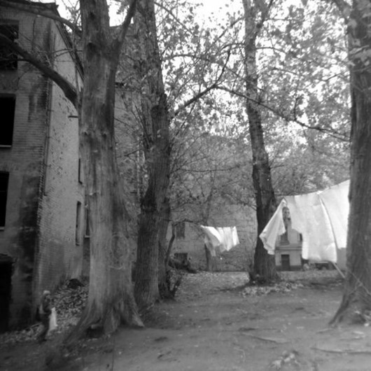 clip_image053 clip_image053