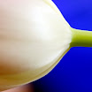 0IMG_3471.JPG