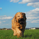 Abi - DSC_0244.JPG