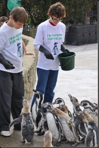 Esther & Jonathan feeding Penguins DSC_1285 - Copy