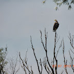 DSCN9657.JPG