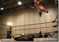 IMG_7385 IMG_7385