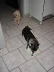 DSC05439.JPG