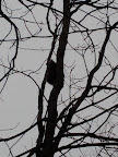 IMG_20120120_141231.jpg