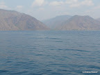 Ilala, Malawisee