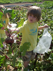 Look at my turnip!