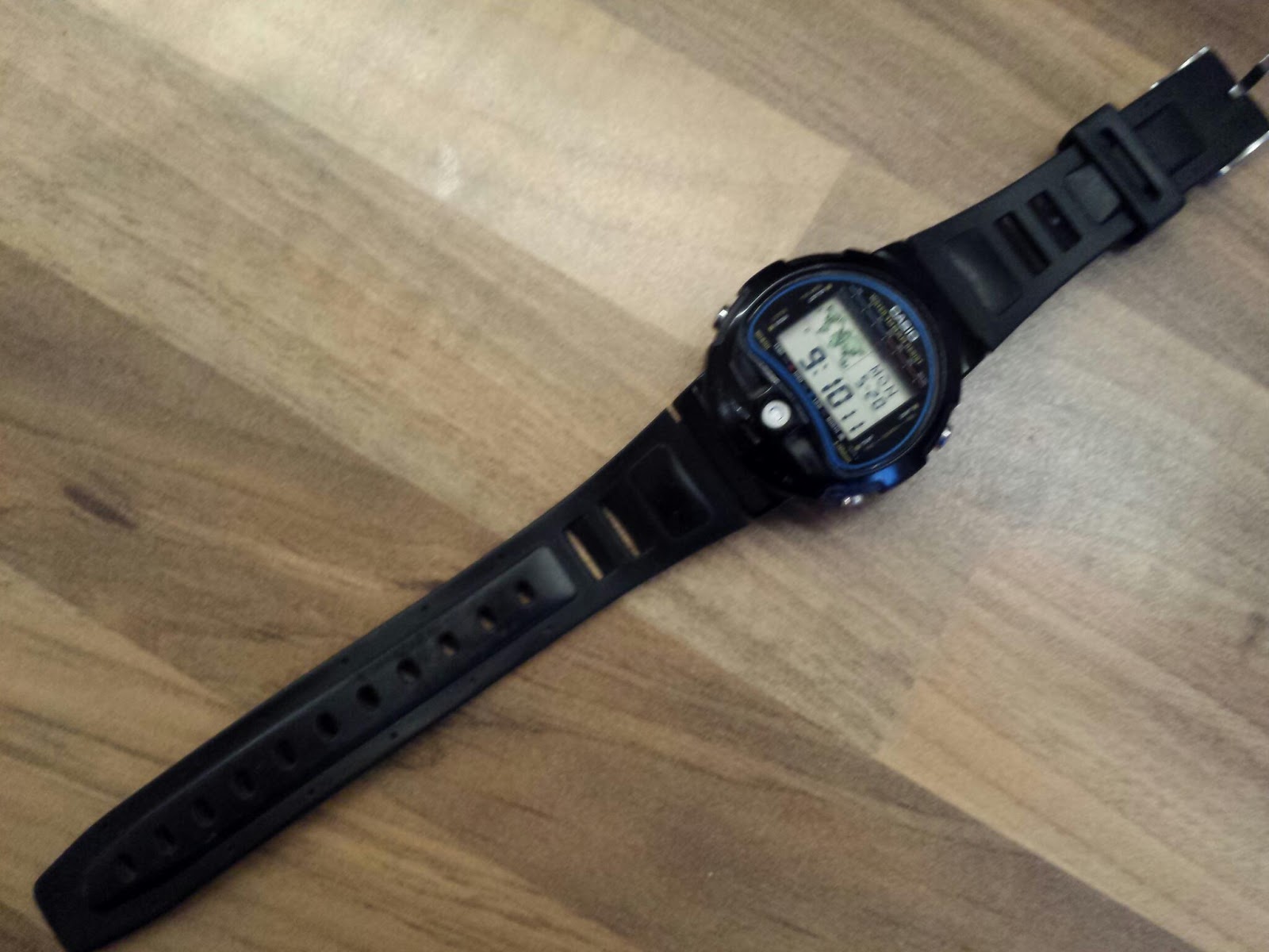 Casio Temperature Sensor TS-150 - Which Watch Today...