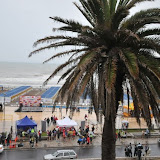 RPP0012baja.jpg RPP0012baja.jpg