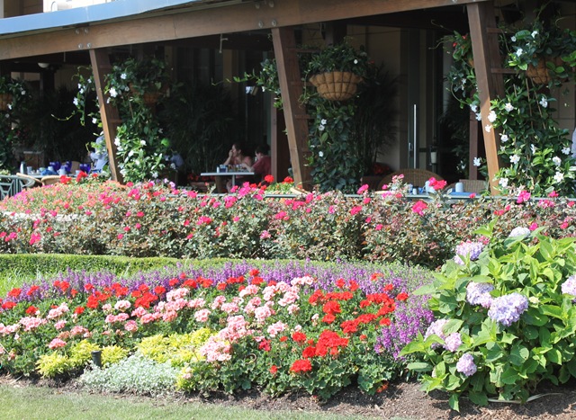 [Summer%2520Vacation%25202013%2520118%255B2%255D.jpg]