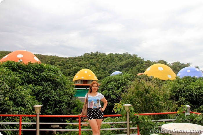 khao yai panorama farm (8) khao yai panorama farm (8)