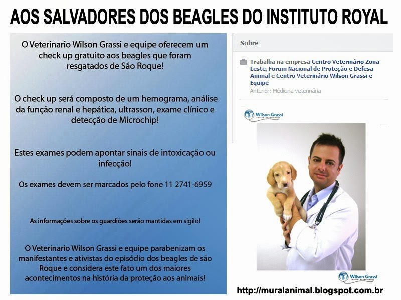 [veterinario-beagles%255B3%255D.jpg]