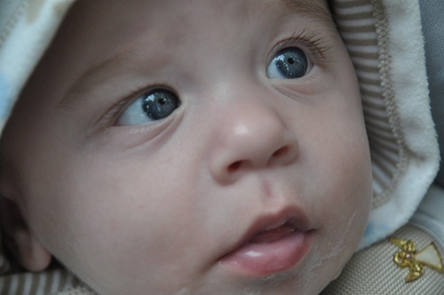 [DSC_4226%255B5%255D.jpg]
