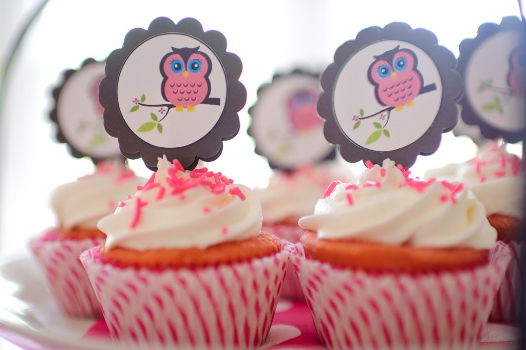 [50%2520baby%2520shower%2520cupcakes%255B2%255D.jpg]