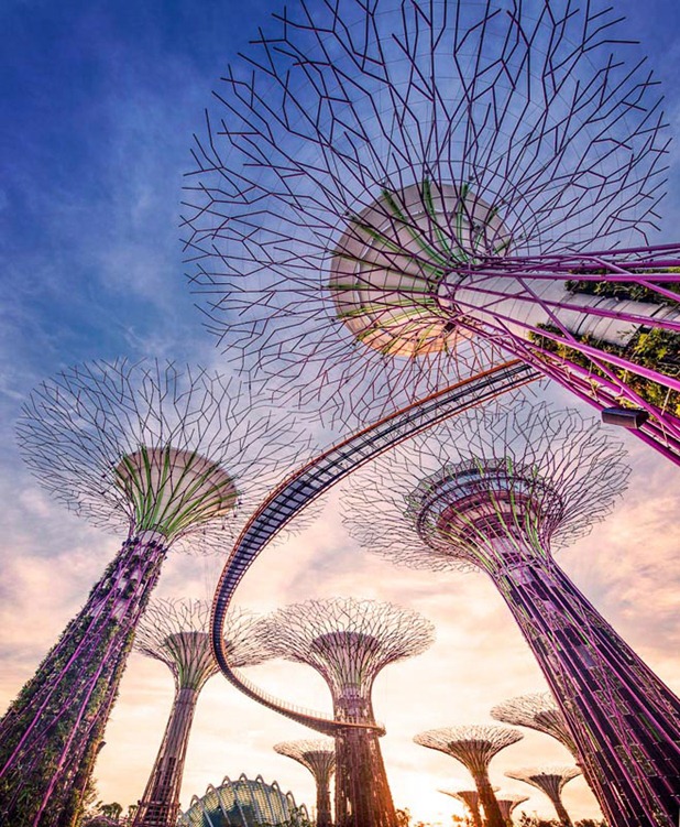 gardens by the bay by grant associates and wilkinson eyre architects 6