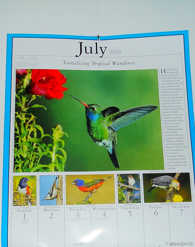 [4.%2520July%2520Calendar-kab%255B4%255D.jpg]