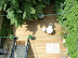 Solar garden