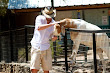 Afc Adam Lyons Pickup Artist In Zoo 2