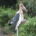 IMG_7107.JPG