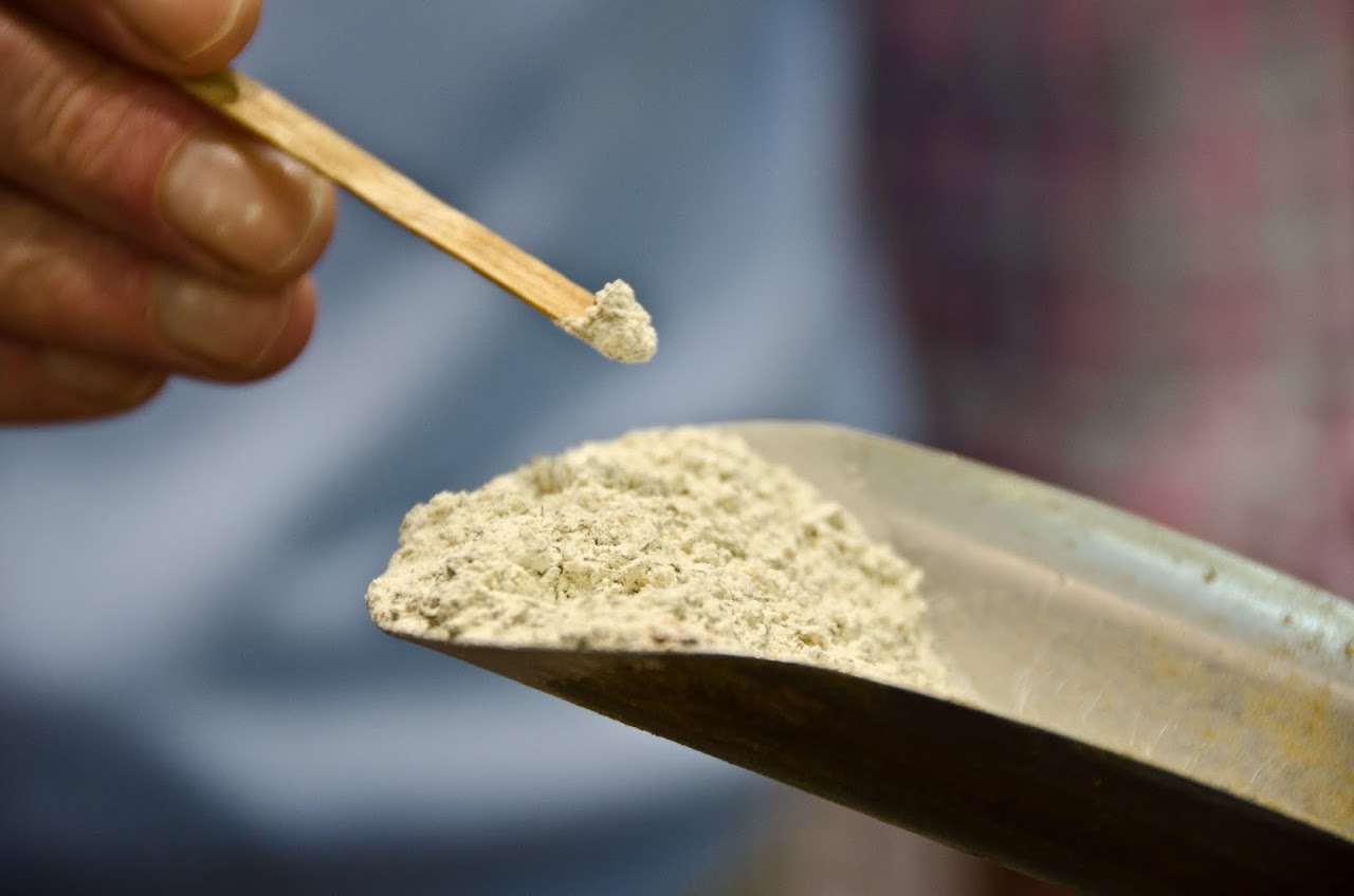 Garlic powder