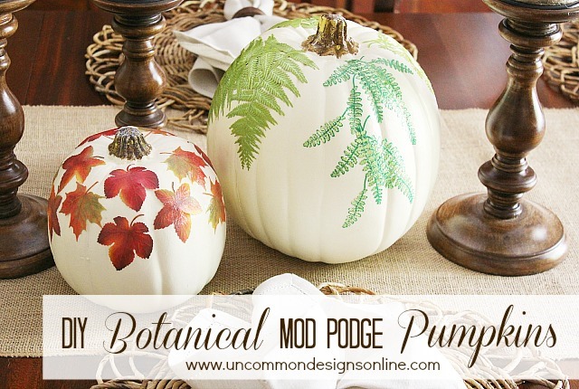 DIY_botanical_pumpkins_graphic