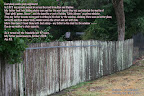 neighbours.jpg