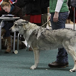 KV CSV 20130222_1036.jpg