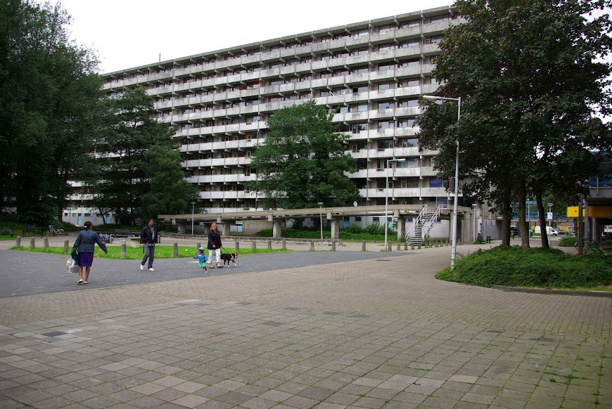 IMGP7343.JPG