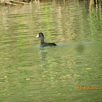 IMG_8080.JPG