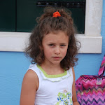 DSC_7382_800x536.JPG