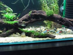 aqa20120224 010.jpg
