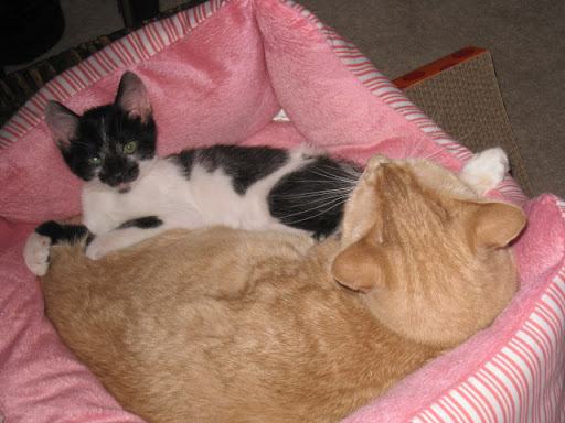 Ginger and Danny 
 