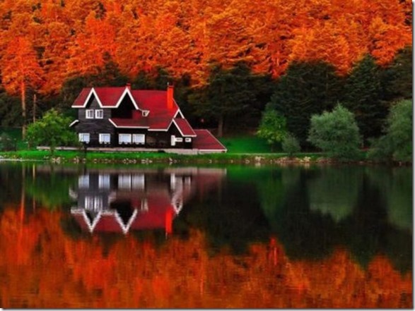 i-want-this-please-1