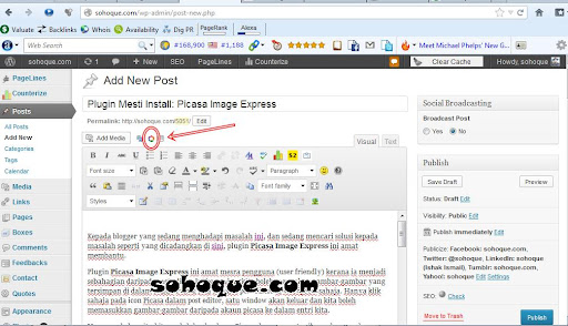 icon picasa di post editor icon picasa.jpg