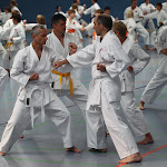 H25D2737.JPG
