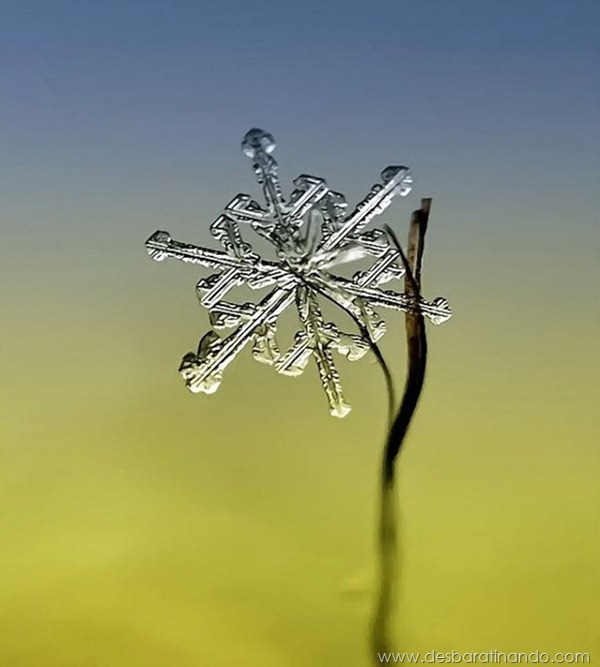 flocos-de-neve-macro-snowflakes-macro-photography-andrew-osokin-desbaratinando (6)