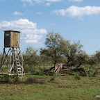 20100824_007_small.JPG