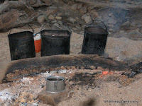 IMG_4103.JPG Photo