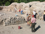 264-6401_IMG