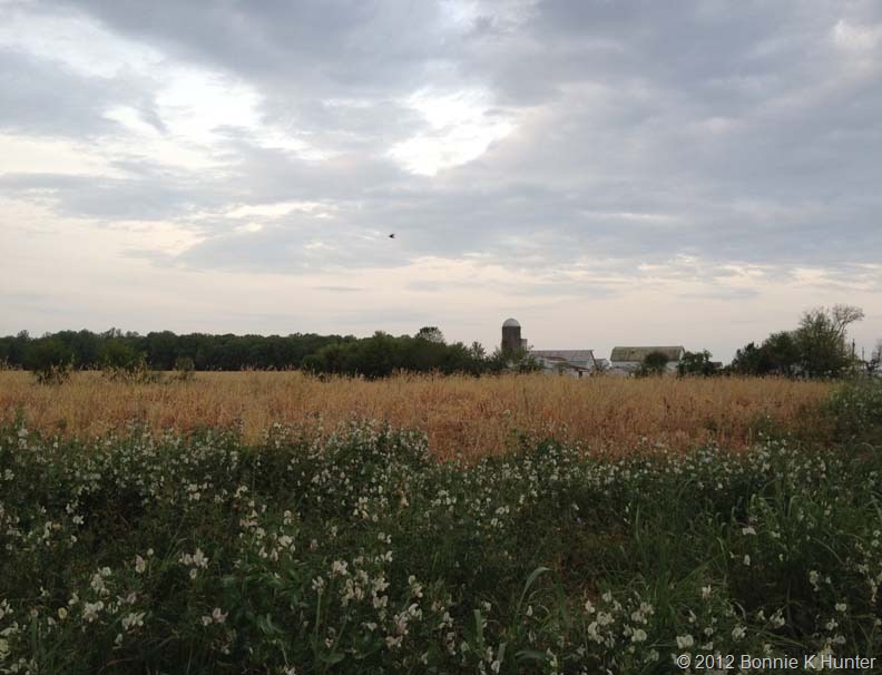 [Delaware2012-0116.jpg]