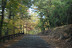 16-Saturday Drive