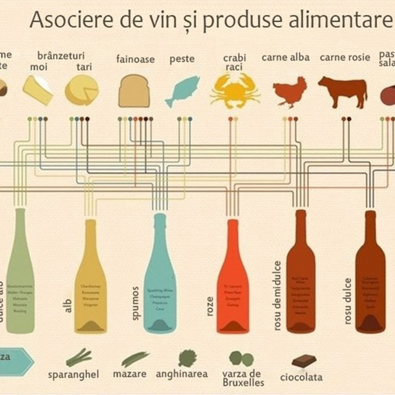 Cum să alegi vinul potrivit ?