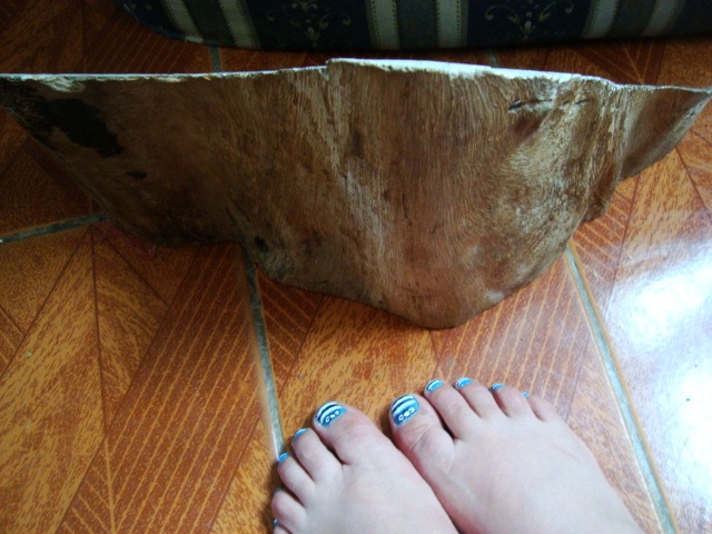 [DSC01687%255B4%255D.jpg]