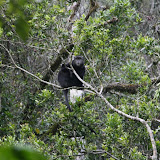 mama to nyungwe