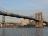 IMG_4962.JPG